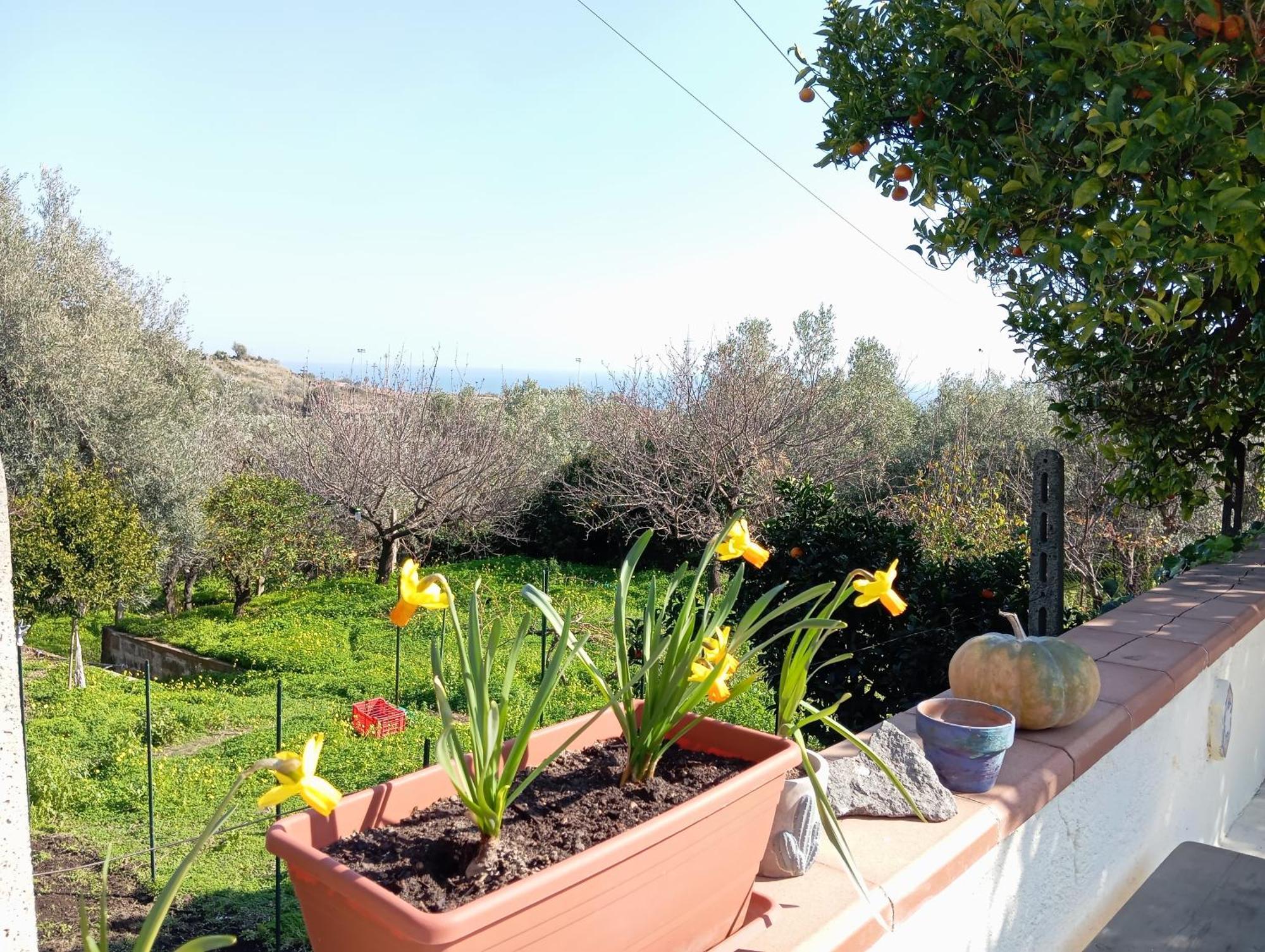 Ai Tre Desideri La Casita Villa Aci Castello Exteriör bild
