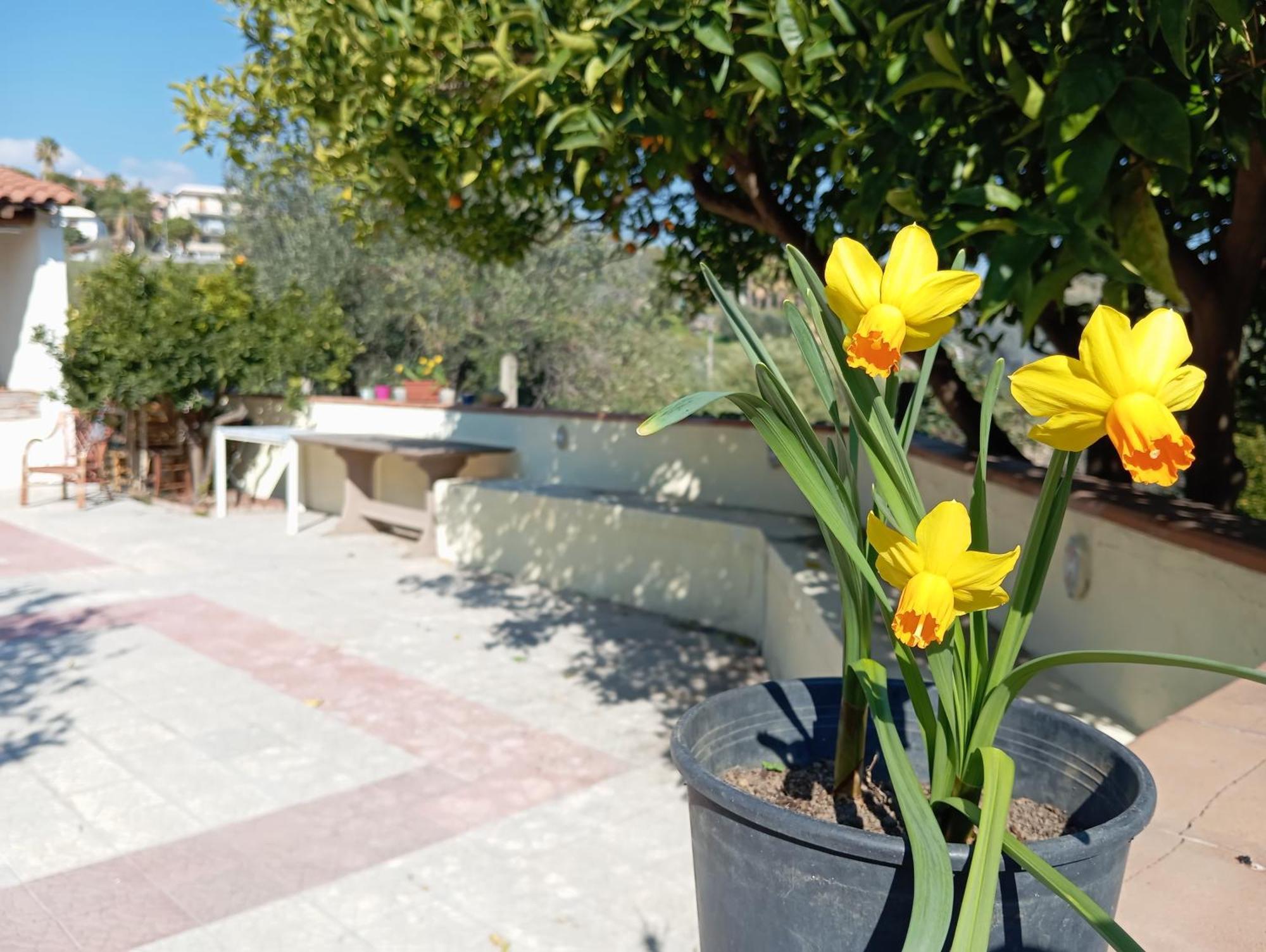 Ai Tre Desideri La Casita Villa Aci Castello Exteriör bild