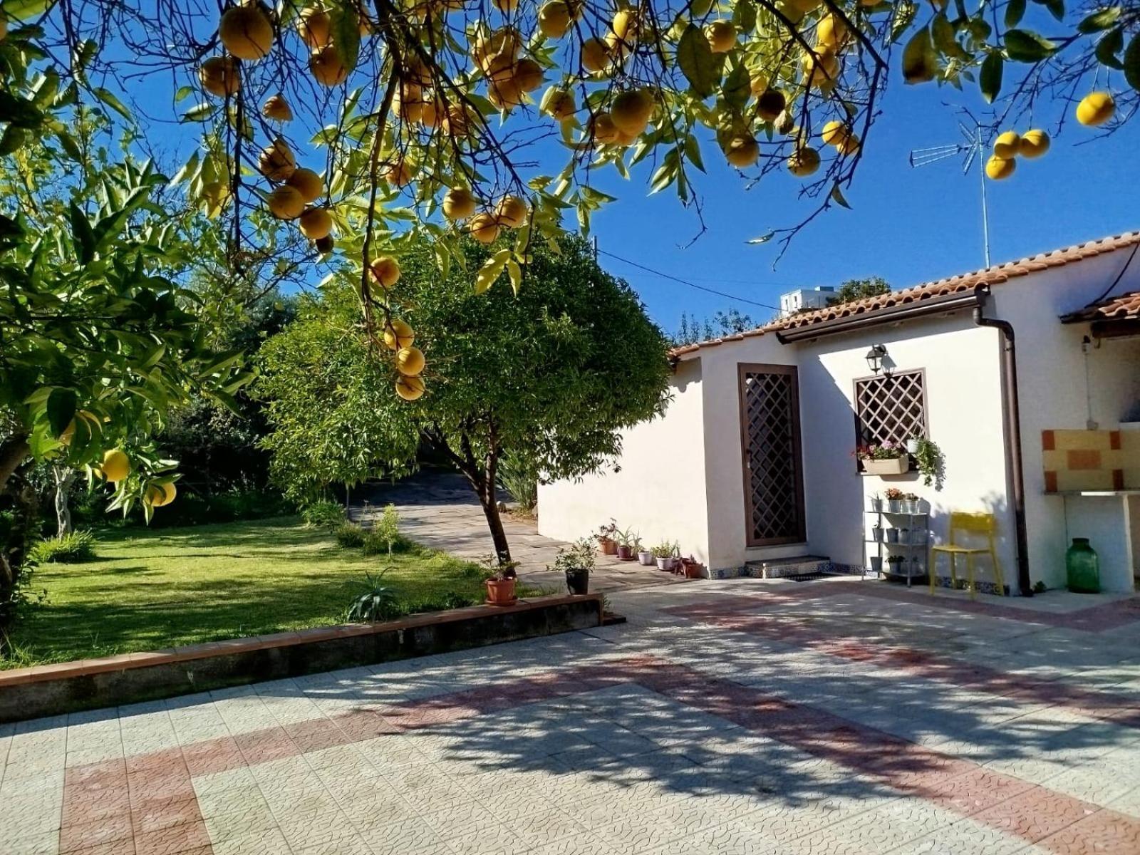 Ai Tre Desideri La Casita Villa Aci Castello Exteriör bild